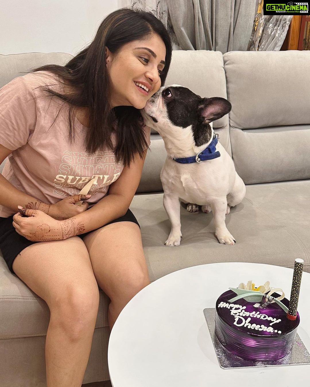 Karunya Ram Instagram - Happiest Bβday to u DHEERA Magu ππππβ€οΈπΆπ§Ώπππu turned 2 today loads of memories together wish u good health π€ : : #petstagram #bestpet #cutedogs #celebritydog #frenchbulldog #dheera #frenchbulldog #naughtylittleboy #canineclubofcubbonpark #cannineclubofbangalore Bangalore, India