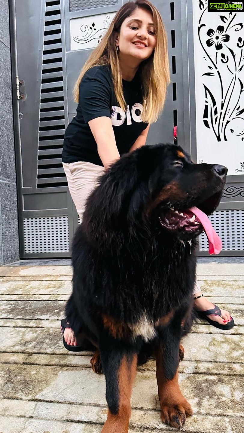 Karunya Ram Instagram - With my boy #bagherra 🖤🤎🤍 : : @joshapp.kannada @officialjoshapp : : #karunyaram #milkybeautykarunyaram #bagheera #perlover #animal #tibbetianmastiff #trending #viral #meta #