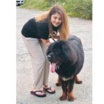 Karunya Ram Instagram - Bagheera 🤎🖤 : : #tibetianmastiff #worldsmostexpensivedog #petlover #animallover Raja Rajeshwari Nagar, Bangalore South