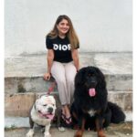 Karunya Ram Instagram - Wit my huge boys…American bully (SIMBA) completed 27 months and Tibetianmastiff (BAGHEERA) is just 8 months baby 🖤🤍🤗😍 : : #karunyaram #milkybeautykarunyaram #doglover #petlover #animallover #americanbully #tibetanmastiff #worldsmostexpensivedog Raja Rajeshwari Nagar, Bangalore South