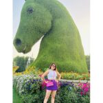 Karunya Ram Instagram - 💜🤍💗 : : : #karunyaram #milkybeautykarunyaram #travel #vaction #dubai🇦🇪 Miracle Garden Dubai