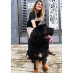 Karunya Ram Instagram - Bagheera 🤎🖤 : : #tibetianmastiff #worldsmostexpensivedog #petlover #animallover Raja Rajeshwari Nagar, Bangalore South