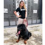 Karunya Ram Instagram - Bagheera 🤎🖤 : : #tibetianmastiff #worldsmostexpensivedog #petlover #animallover Raja Rajeshwari Nagar, Bangalore South