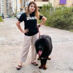 Karunya Ram Instagram - Bagheera 🤎🖤 : : #tibetianmastiff #worldsmostexpensivedog #petlover #animallover Raja Rajeshwari Nagar, Bangalore South