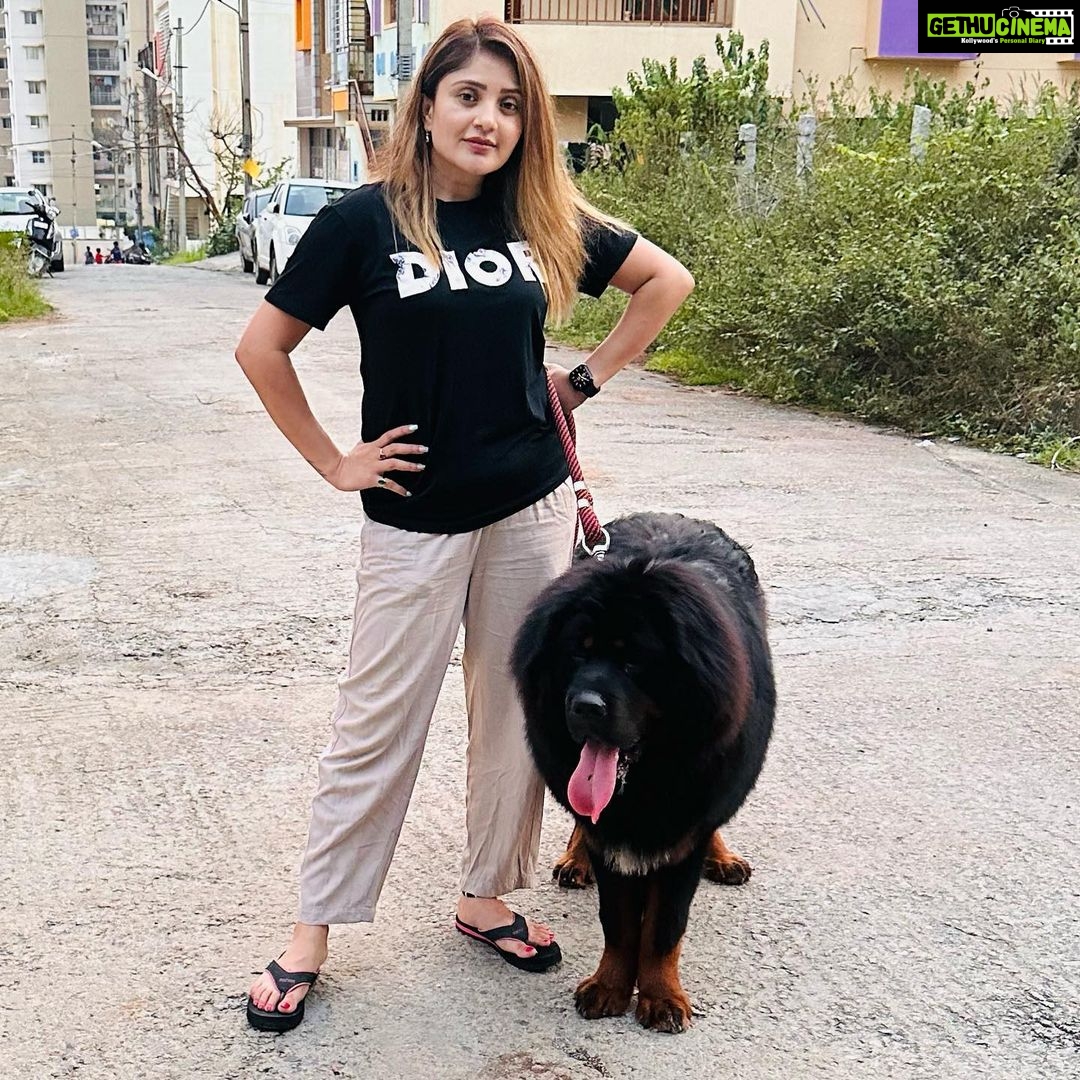 Karunya Ram Instagram - Bagheera 🤎🖤 : : #tibetianmastiff #worldsmostexpensivedog #petlover #animallover Raja Rajeshwari Nagar, Bangalore South