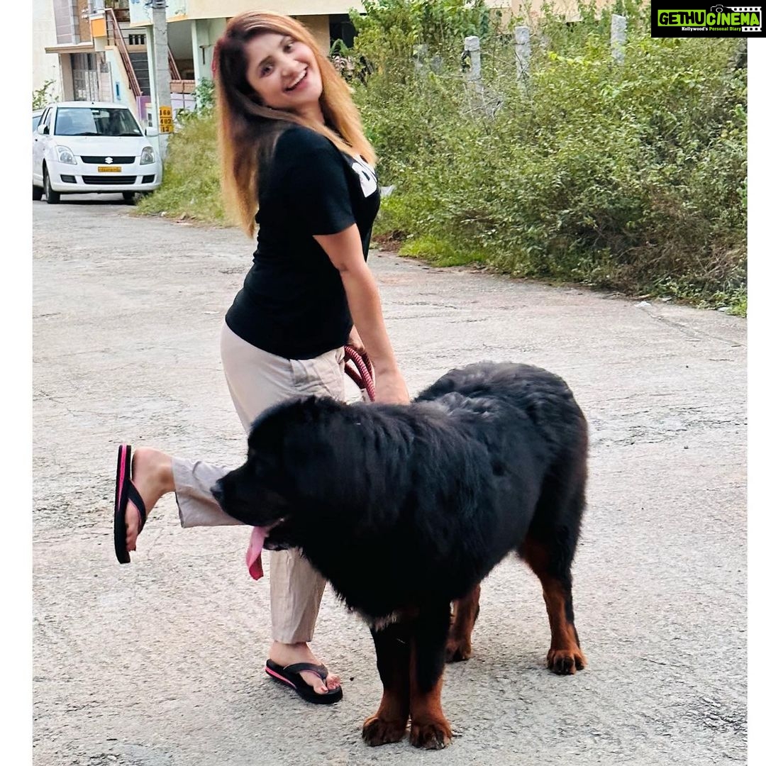 Karunya Ram Instagram - Bagheera 🤎🖤 : : #tibetianmastiff #worldsmostexpensivedog #petlover #animallover Raja Rajeshwari Nagar, Bangalore South
