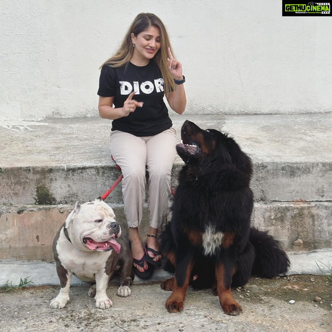 Karunya Ram Instagram - Wit my Simba and Bagheera 🤍🖤 : : #karunyaram #milkybeautykarunyaram #simba #bagheera Raja Rajeshwari Nagar, Bangalore South