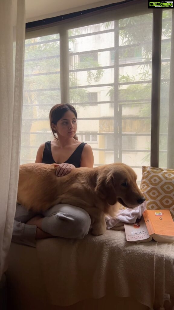 Kashmira Pardesi Instagram - What do you mean by personal space? I’m just a tiny pup!