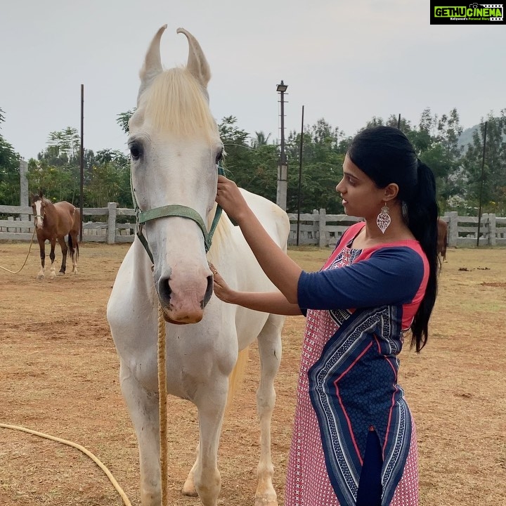 Kavitha Gowda Instagram - #myloveforpony #horses #animals 😁😁
