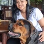 Kavitha Gowda Instagram - #doglover #rottweiler #rottweilersofinstagram