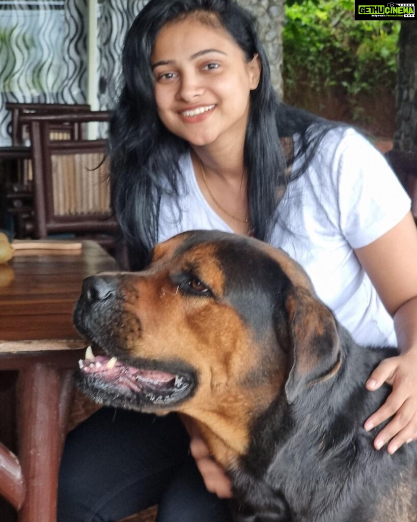 Kavitha Gowda Instagram - #doglover #rottweiler #rottweilersofinstagram