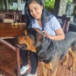 Kavitha Gowda Instagram – #dogs #doglife #rottweiler #rot