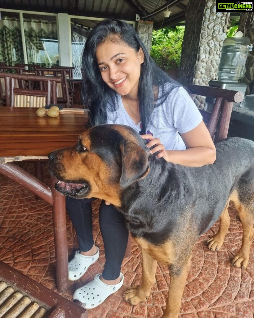 Kavitha Gowda Instagram - #dogs #doglife #rottweiler #rot