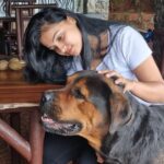 Kavitha Gowda Instagram - #dog #dogsofinstagram