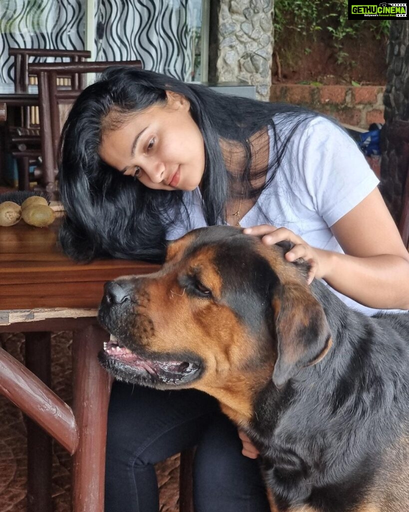 Kavitha Gowda Instagram - #dog #dogsofinstagram