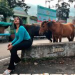 Komalee Prasad Instagram - Birthday 2023 ✨ Dear universe, thank you for another year of wisdom , growth and happiness..I have learnt the most imp things quite easily this time..to let go , to feel , to be kind , to give and to take back every ounce of love I have in my heart.. Spent my day far in the mountains amidst peace and magic that you hold within. While I am grateful to all the things you have sent my way , I am ready to live a million more that you saved for me.. Looking back to feel and looking forward to experience 💕✨🦋 #gratitude #birthday