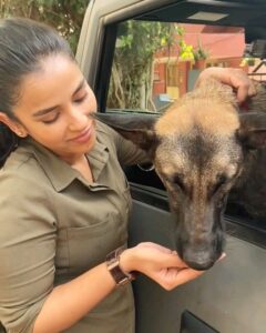 Komalee Prasad Instagram - Deeply hurt to say that Max (Sasha) from #HIT2 is no more....

I have spent most of my time with her on the sets..hope heaven is treating her with her fav treats , balls and fetch games...
Thank you for coming into our lives...
Varsha is incomplete without you..I hope varsha could come to save you this time.. 🌸💔

Condolences and strength to Anand...@happy_dogs_training_school ... You were the best person she could have as a parent 🌸
