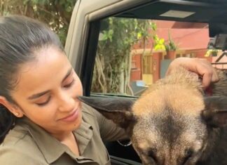Komalee Prasad Instagram - Deeply hurt to say that Max (Sasha) from #HIT2 is no more.... I have spent most of my time with her on the sets..hope heaven is treating her with her fav treats , balls and fetch games... Thank you for coming into our lives... Varsha is incomplete without you..I hope varsha could come to save you this time.. 🌸💔 Condolences and strength to Anand...@happy_dogs_training_school ... You were the best person she could have as a parent 🌸