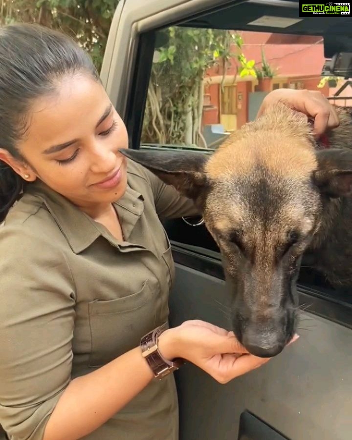 Komalee Prasad Instagram - Deeply hurt to say that Max (Sasha) from #HIT2 is no more.... I have spent most of my time with her on the sets..hope heaven is treating her with her fav treats , balls and fetch games... Thank you for coming into our lives... Varsha is incomplete without you..I hope varsha could come to save you this time.. 🌸💔 Condolences and strength to Anand...@happy_dogs_training_school ... You were the best person she could have as a parent 🌸