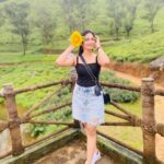 Losliya Mariyanesan Instagram - 🌻