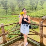 Losliya Mariyanesan Instagram - 🌻