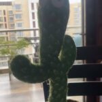 Ma Ka Pa Anand Instagram – 27 June 2022 , cactus toy , super fun to have one 🧿🧿🧿🧿