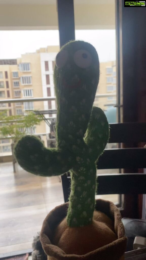 Ma Ka Pa Anand Instagram - 27 June 2022 , cactus toy , super fun to have one 🧿🧿🧿🧿