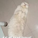 Madhavi Latha Instagram –