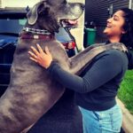 Madhumila Instagram – Big Love in a big package ❤️
The best part of going for a walk is, you get to pet alot of dogs😅❤️
#greatdane