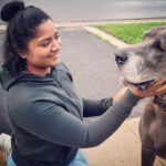 Madhumila Instagram - Big Love in a big package ❤️ The best part of going for a walk is, you get to pet alot of dogs😅❤️ #greatdane