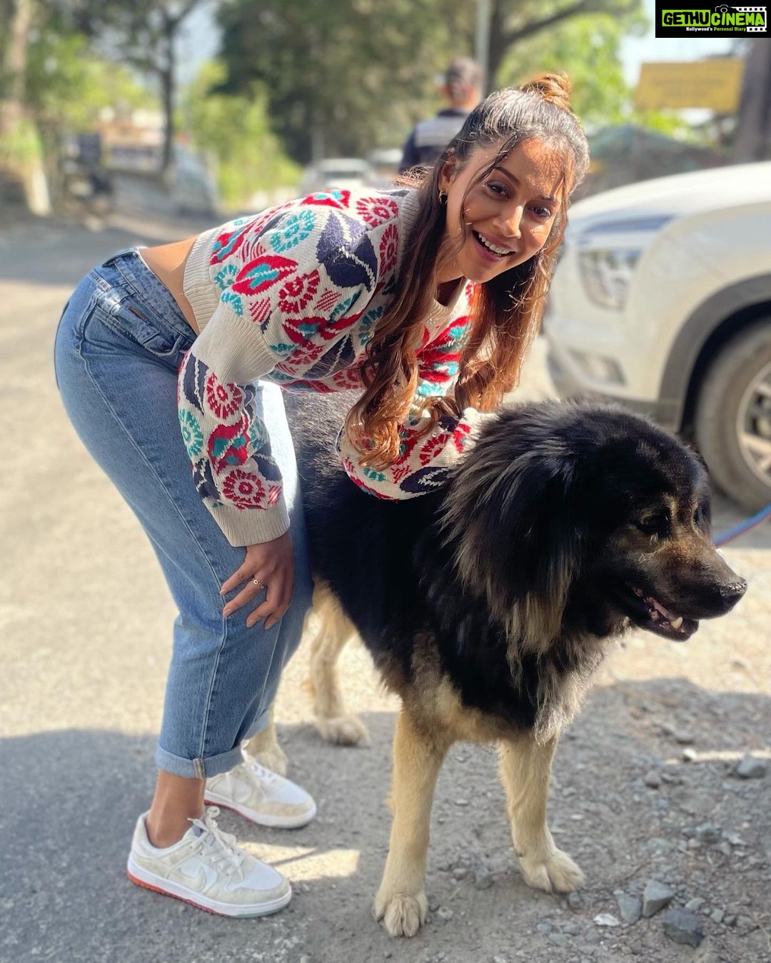 Madhurima Roy Instagram - Hot cuppa, warm winter sun and my furry friends. Couldn’t complain 🙃 Bhimtal Hill Station