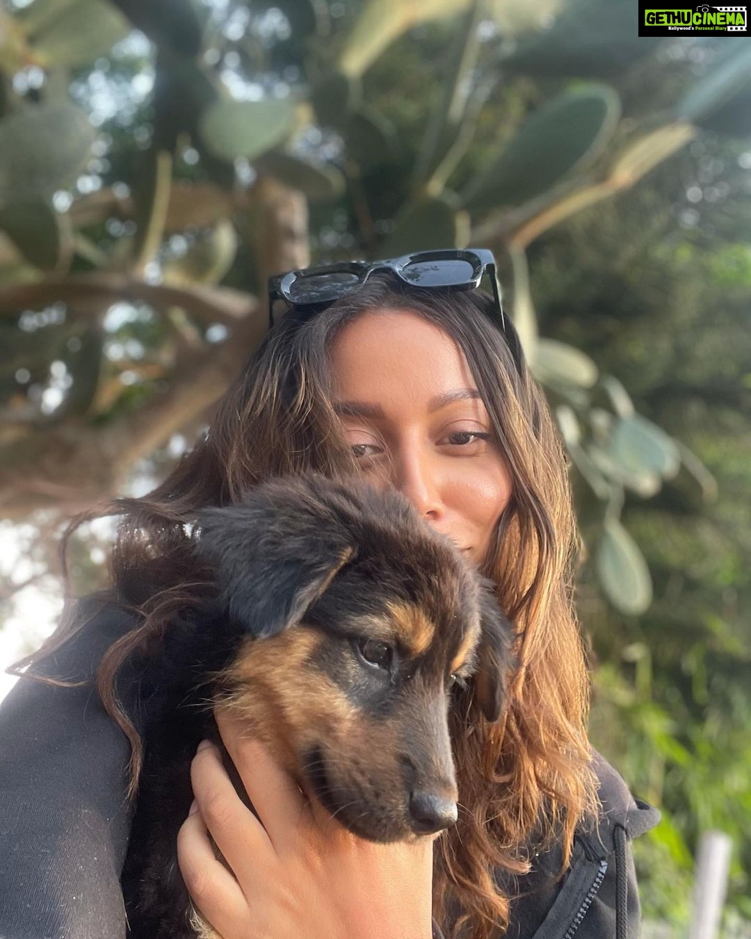 Madhurima Roy Instagram - Little su-paw star on set 🐾✨
