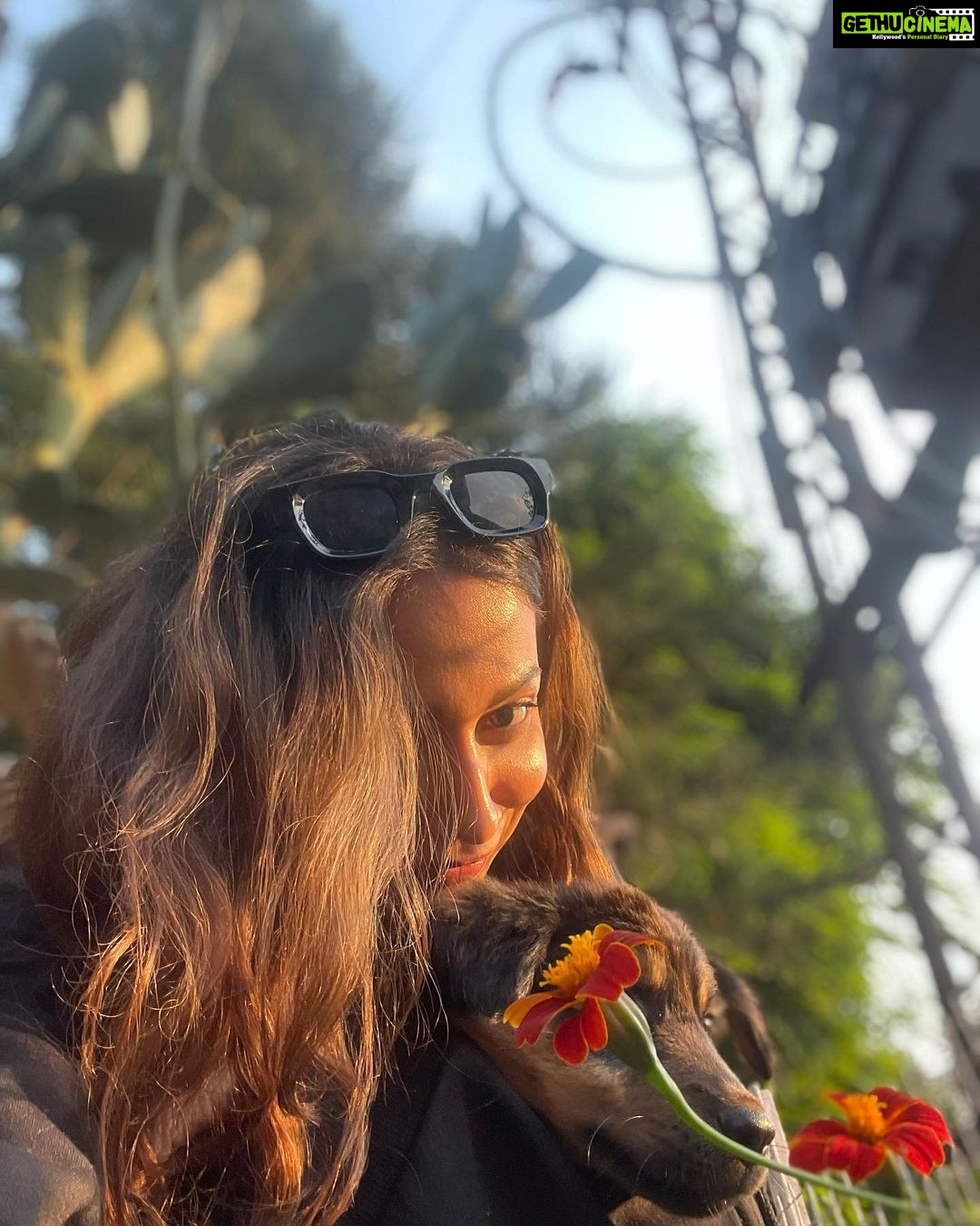Madhurima Roy Instagram - Little su-paw star on set 🐾✨