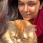 Madhurima Tuli Instagram - For a change he’s enjoying my singing 😂❤️ Happy Navratri everyone 🙏🏼 #singing #love #reels #cats #mylove