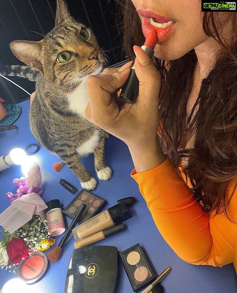 Mahek Chahal Instagram - Anything is paws-ible with a cat by your side. ♥♥😻😻 Bandra West