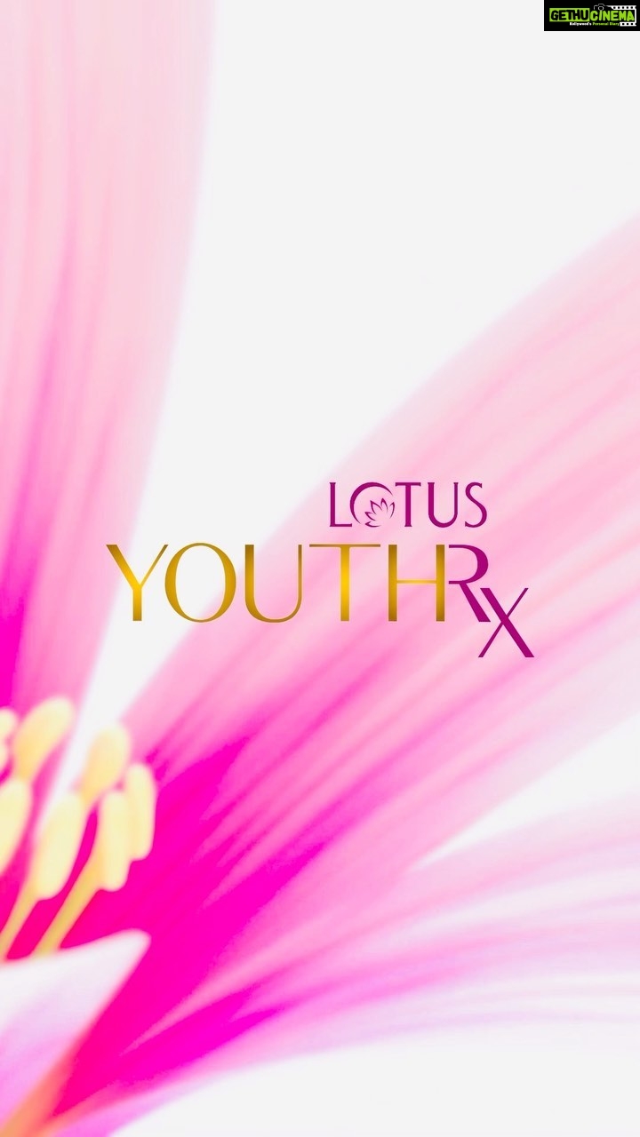Malaika Arora Instagram - Turns out it doesn’t take much to stay youthful and radiant like me! Treat your skin to some non-toxic love with Lotus YouthRx anti-ageing Firm & Bright range featuring natural plant-based retinol and Vitamin C. Simply follow this three-step morning routine and see the transformation yourself : 💜YouthRx firm & bright facewash 💜YouthRx firm & bright face serum 💜YouthRx firm & bright day crème #LotusHerbals #LotusYouthRx #AntiAgeing #Firm&Bright
