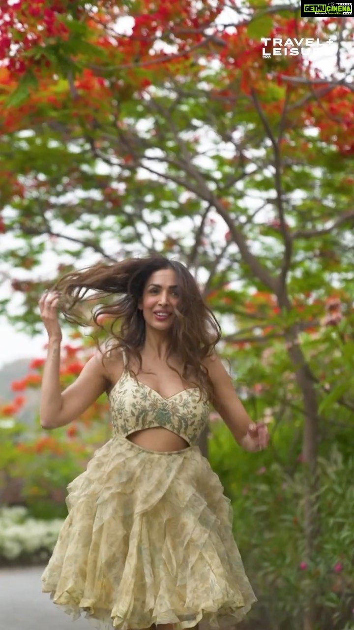 Malaika Arora Instagram - The gorgeous @malaikaaroraofficial at the lush @theanantaudaipur ♥️💚 Editor-in-chief : @aindrilamitra Produced by : @ishikalaul Co-Produced by : @simrrangill Video : @sidmadethis Photography by : @taras84 Styled by : @divakdsouza Assisted by : @jhanvi_pallicha Hair and Makeup by : @meghnabutanihairandmakeup Outfit Partner : @ri_ritukumar Earrings : @suhanipittie Shoes : @jimmychoo Location : @theanantaudaipur (@anantahotels) Artist publicist: @divya.chaturvedi28 of @bazinga_ent #RiRituKumar #ModernHeirlooms #SS23 #theanantaudaipur #anantahotelsandresorts