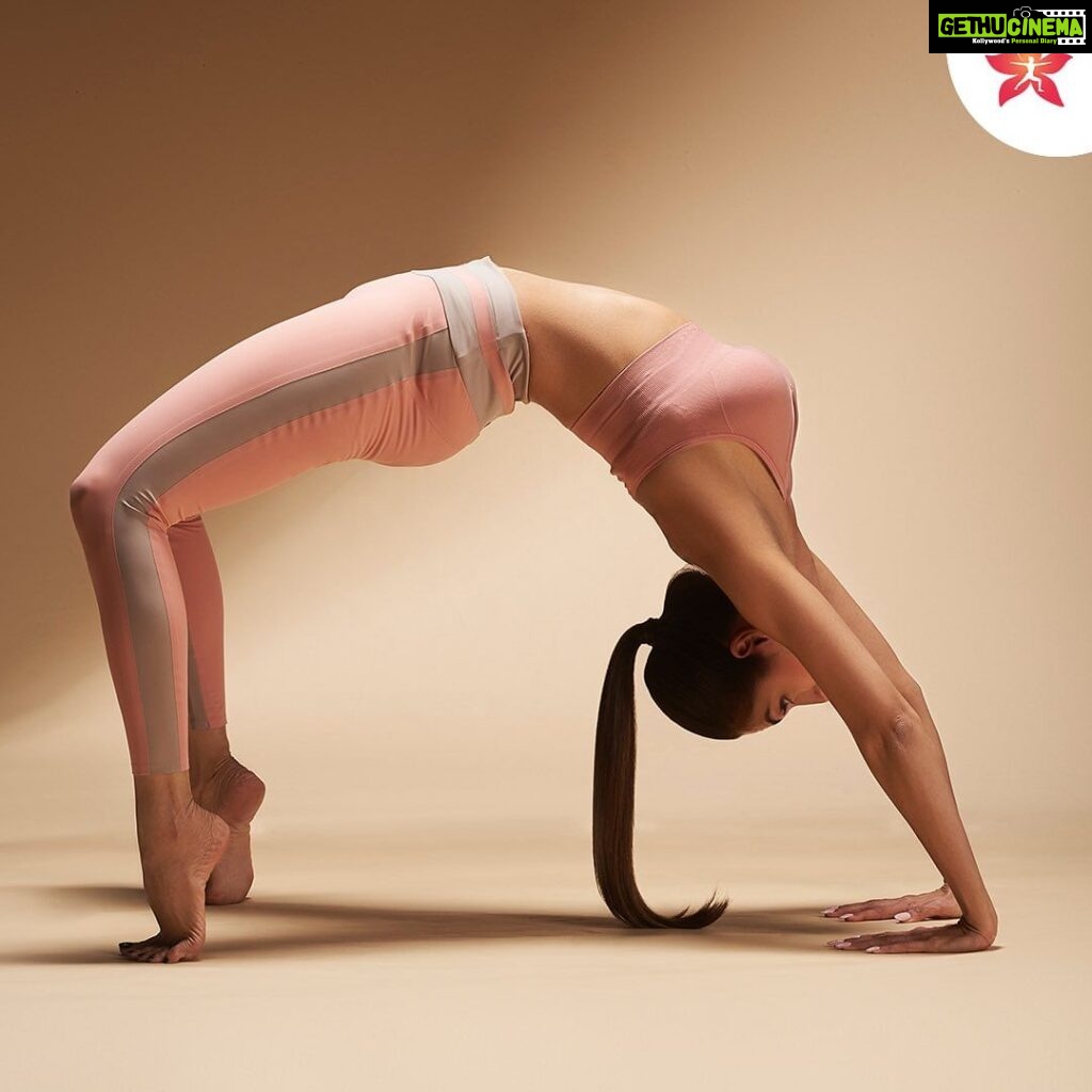 Malaika Arora Instagram - Hello Divas, how are we doing today? Breathe, stretch, and open your heart with this amazing back-bending pose. Chakrasana is a great pose to deep stretch your chest and strengthen your spinal extensors. The wheel pose is great for your mental health, it helps relieve stress and has a calming effect on the mind. Yoga allows you to open yourself to receive blessings and let go of what doesn't serve you. Add this incredible heart-opening pose to your routine and experience its benefits. To book a class with Diva Yoga, visit link in bio. #divayoga #yoga #yogaeveryday #yogastudio #malaikasmoveoftheweek