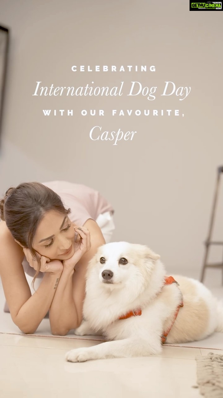 Malaika Arora Instagram - #InternationalDogDay: I couldn’t have asked for a better companion to spend my shoot days with. Isn’t he such a natural? Celebrating today and everyday with my superstar, Casper. #TheLabelLife #ElevatedLifestyleEssentials #ArriveInStyle #StyleEditorPicks #StyleEditorNotes #StyleEditorMalaika #MalaikaArora #Casper