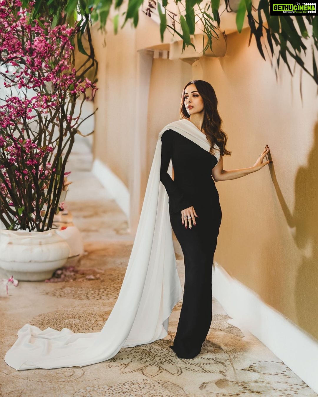 Malaika Arora Instagram - Gown - @gaffestudios @vandafashionagency Jewellery - @kkjewelsofficial @ascend.rohank Shoes - @louboutinworld Styled by - @aasthasharma @reannmoradian @wardrobist Hair - @souravv_roy_ Makeup - @simone.hairandmakeup Managed by- @naureen.abdullah 📸 - @studiopicsing
