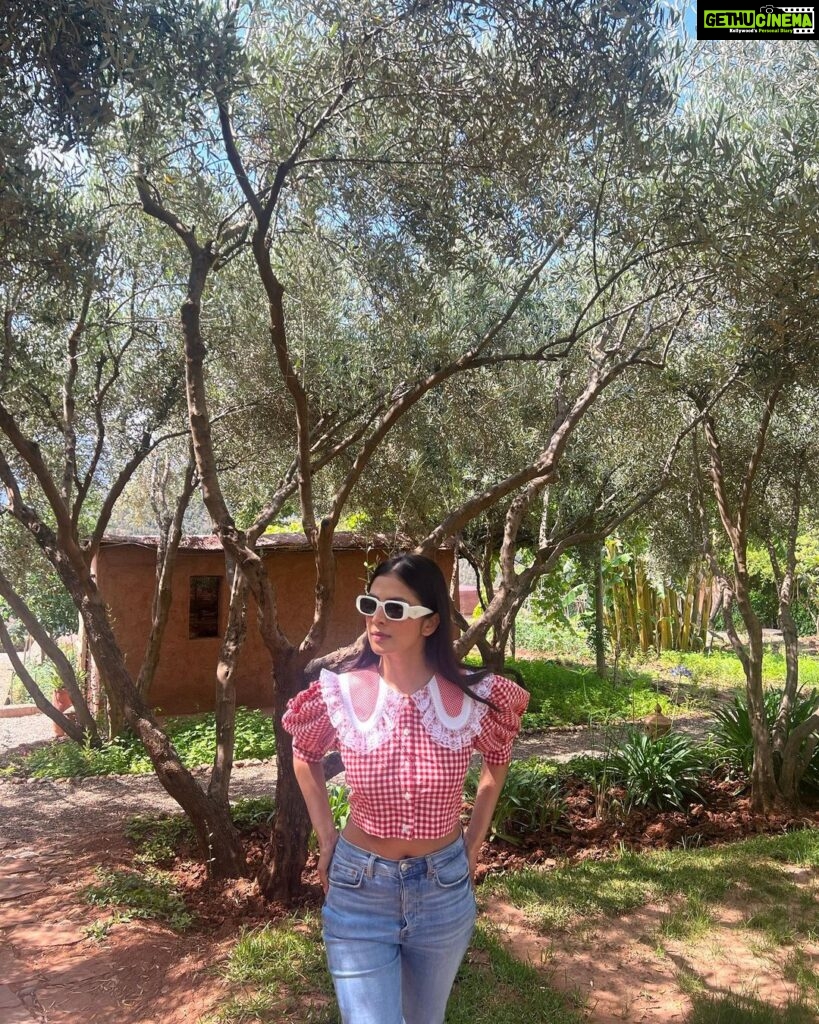 Malavika Mohanan Instagram - In in a very rainy mumbai at the moment, and reminiscing about this lovely afternoon I spent in the High Atlas hills of Morocco. There was brisk mountain air, the most orangey oranges I’ve seen & the cutest little doggo for company 🐶 As you can evidently guess, it was a good day ♥️ Also, wearing the cutest little top by @springorigin which designs the cutest stuff everrrrr How you do this @apurvanayal howw 🤍