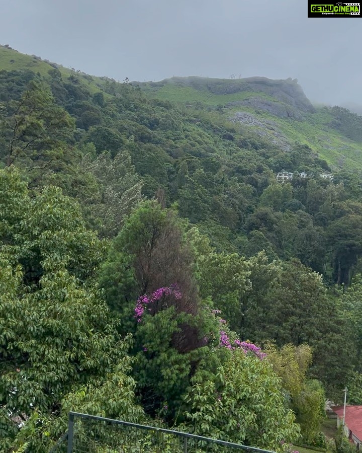 Malavika Mohanan Instagram - Got to experience the lushness of the Kerala monsoon for this first time this year and boy, was my body in need of a break after the last few weeks of shoot. The mist, the sound of rain & these breathtaking views did me some good ♥️ Thank you @windermereretreats for the green, the yum food & the warm hospitality. Can’t wait to be back. Watching the mist slowly drift in through the open window of my room was my favourite part 💕(!!)