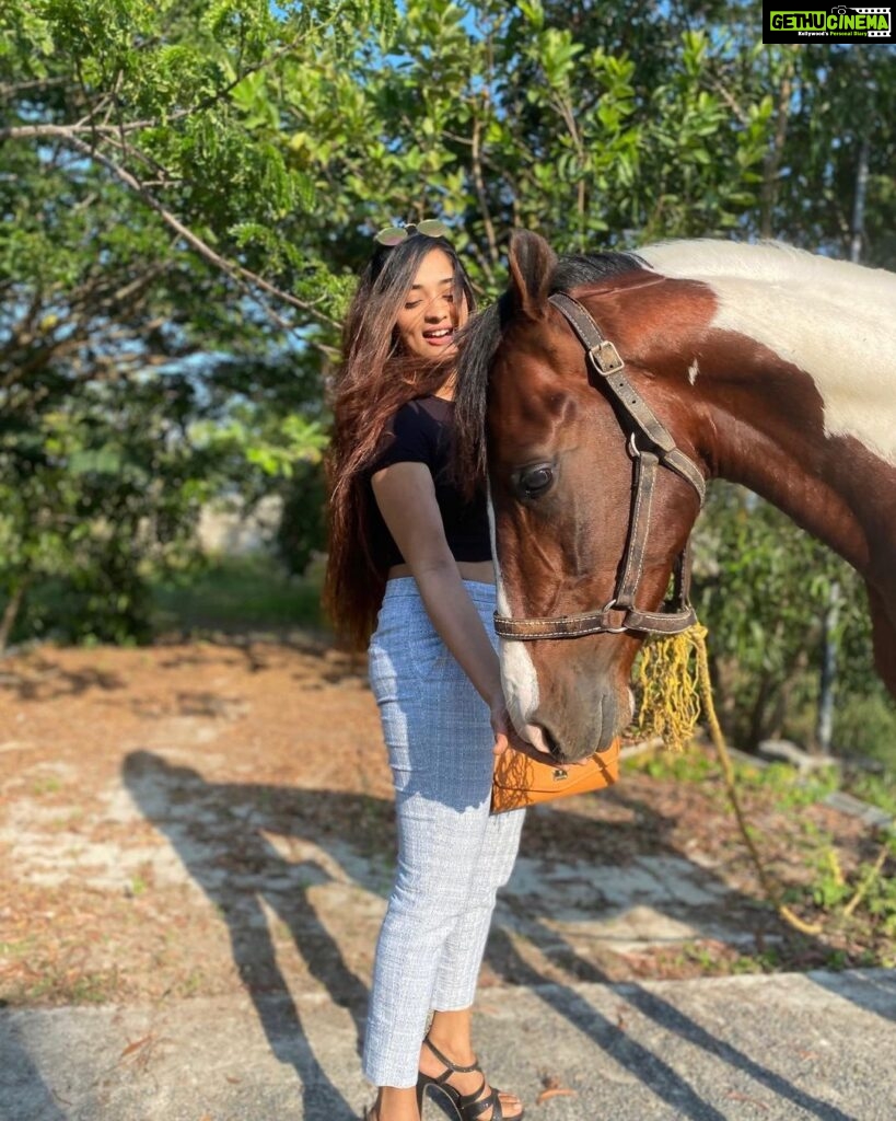 Masoom Shankar Instagram - They come in peace , my better humans!🐎 ❤️ . . . . . . . . . . . #maasoomshankar #masoomshankar #horselover #animallovers #horserider #love #smile #beautifullife ECR