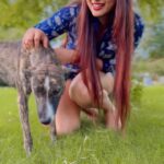 Masoom Shankar Instagram - Better humans I call them ❤️🐶 This little one just kept moving around us for hours, he didn’t want any water or food we offered..he just wanted some pampering & love. He literally was playing with us like our #zorrababy at home. 📹 @tuhinshankar25 . . . . . . . . . #maasoomshankar #reels #animalovers #doglover #travelgram #straydogsofinstagram #grateful #kind #purelove #reeloftheday Jim Corbett National Park - Ramnagar