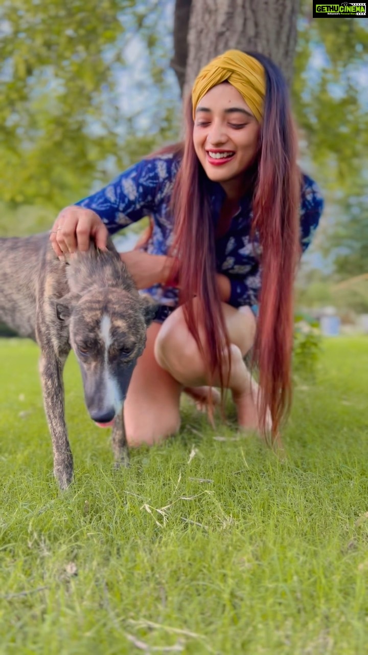 Masoom Shankar Instagram - Better humans I call them ❤️🐶 This little one just kept moving around us for hours, he didn’t want any water or food we offered..he just wanted some pampering & love. He literally was playing with us like our #zorrababy at home. 📹 @tuhinshankar25 . . . . . . . . . #maasoomshankar #reels #animalovers #doglover #travelgram #straydogsofinstagram #grateful #kind #purelove #reeloftheday Jim Corbett National Park - Ramnagar