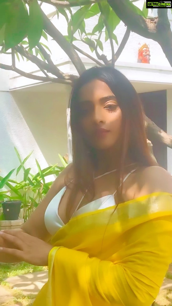 Masoom Shankar Instagram - Saree musings🥰 . . Saree @tanisshiii BlouseTop @chaitanyarao_official Earrings @teejhindia Footwear @themadrastrunk . . . . . . . . #maasoomshankar #masoomshankar #reels #trendingreels #sareelove #ootd