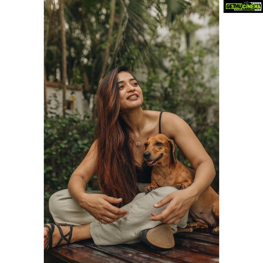Masoom Shankar Instagram - No Filter Series 1 📸 @iam_arvindram . . . . . . . . #maasoomshankar #masoomshankar #actor #actorslife #camera #love #photoshoot #casual #casuallook #casualstyle #hnm #fashion #portraits #instaportraits #moodygram #portraitoftheday #Instagood #picoftheday #chennai #kollywood #bollywood