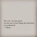 Mayuri Deshmukh Instagram - ❤️Rumi❤️