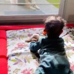 Mayuri Kyatari Instagram - 🐶 @starboii_1111 #dog #babydog #friendship #petlovers #babyanddog #aaravthestarboii