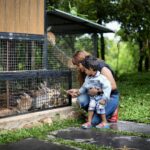 Mayuri Kyatari Instagram - Your moments of joy deserve our love and care.. this monsoon treat yourself to a perfect staycation with a taste of animal therapy through our guided visits to farm..experience Coorg countryside with @montrosegolfresort Featuring: @mayurikyatari #montrose #montrosegolfresort #montrosegolfresortandspa #montrosegolflinks #coorg #coorgdiaries #coorgtrip #coorgtourism #coorgthescotlandofindia #coorg😍 #luxury #luxuryresort #coorgresorts #coorghotels #coorghomestays #animals #dairy #rabbits #animalfarm #farm #travel #travelgram #travelgoals #staycation #luxurytravel #luxuryhotel #westernghats #countryside #karnatakatourism #karnataka Montrose Golf Resort & Spa